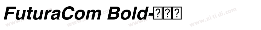 FuturaCom Bold字体转换